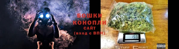 гашик Касимов