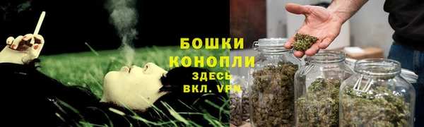гашик Касимов