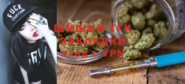 гашик Касимов