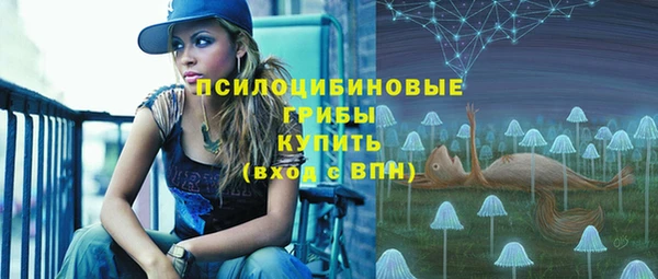 гашик Касимов
