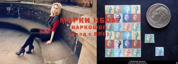 гашик Касимов