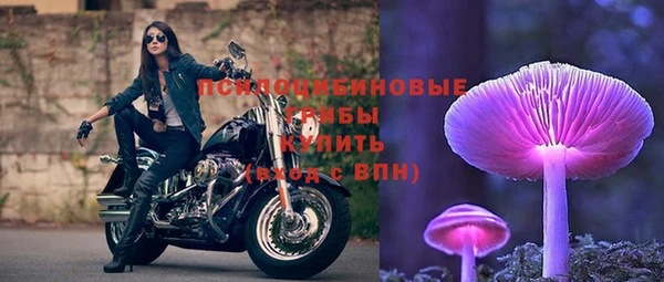 прущая мука Карпинск