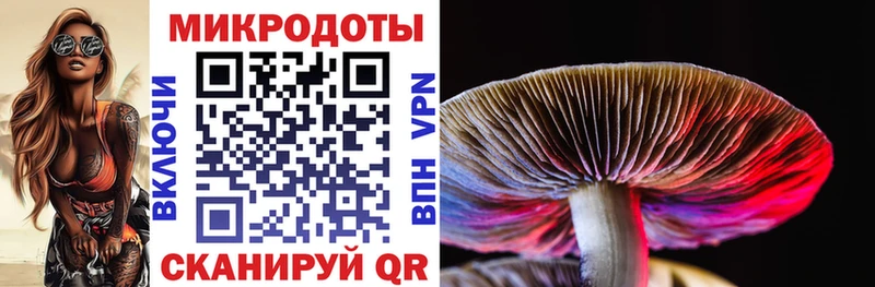 Псилоцибиновые грибы GOLDEN TEACHER  Купить  Тара 